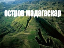Презентация по окружающему миру Животные Мадагаскара