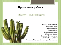 Проектная работа Кактус-колючий друг