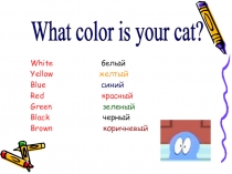 Презентация по английскому языку Каким цветом твоя кошка?