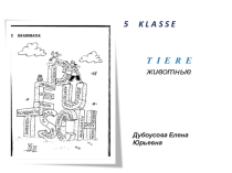 Презентация по немецкому языку на тему T I E R E животные 5 класс