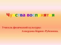 Органы чувств