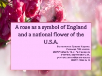 Презентация к исследовательской работе Роза как символ Великобритании