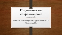 Педагогическое сопровождение