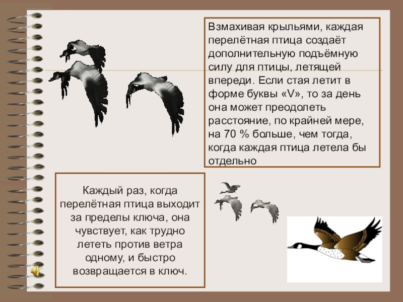 Презентация Использование технологий коллективного взаимообучения и сотрудничества. Виды групповой работы в технологии сотрудничества. Каждый раз, когда перелётная птица выходит за пределы ключа, она чувствует, Каждый раз, когда перелётная птица выходит за пределы ключа, она чувствует, как трудно лететь против ветра одному,