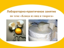 Учебная практика Блюда из яиц и творога