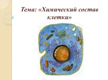 Презентация по биологии на тему Химический состав клетки 5 класс