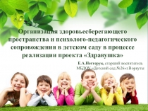 Организация здоровьесберегающего пространства и психолого-педагогического сопровождения в детском саду в процессе реализация проекта Здравушка
