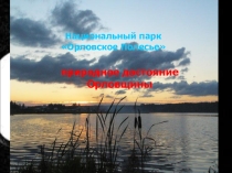 Презентация по географии и экологии России Орловский заповедник. Национальное достояние Орловщины