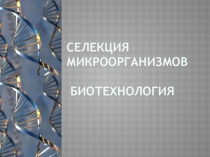 Презентация по биологии на тему Селекция микроорганизмов.Биотехнология (11класс)