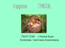 Презентация по окружающему миру 3 класс В царстве грибов