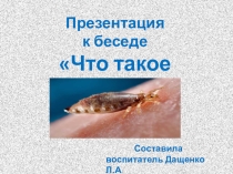 Презентация к беседе Что такое педикулёз?