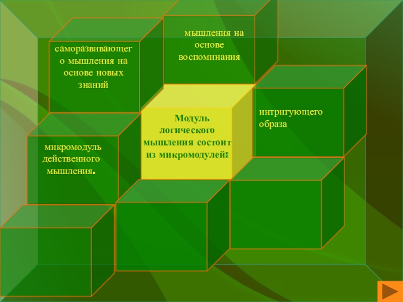 Развитие логического мышления учащихся на уроках истории и обществознания. Урок логического мышления по методике доктора педагогических наук, профессора В.В. Шогана. Модуль логического мышления состоит из микромодулей: микромодуль действенного мышления.саморазвивающего Модуль логического мышления состоит из микромодулей: микромодуль действенного мышления.саморазвивающего мышления на основе новых