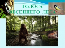 Презентация музыкального занятия по теме: Голоса весеннего леса для детей старшего дошкольного возраста