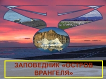 Презентация по окружающему миру на тему Заповедник стров Врангеля (4класс)