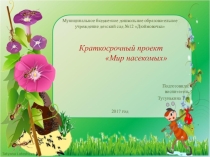 Презентация Краткосрочный проект Мир насекомых