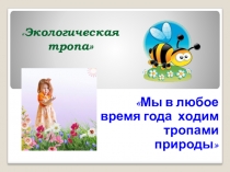 Экологическая тропа В ДОУ
