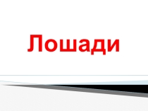 Презентация по окружающему миру (дополнительный материал) Лошади