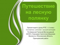 Презентация  Путешествие на лесную поляну (Курс РПС)