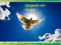 Презентация урока внеклассного чтения по украинскому чтению Цiкавий свiт птахiв