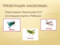 Презентация Насекомые Познавательное развитие.