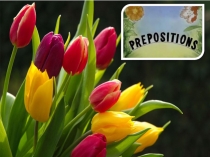 Презентация по английскому языку на тему PREPOSITIONS
