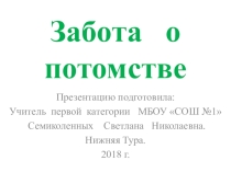Презентация по биологии на тему Забота о потомстве.