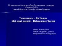 Презентация по татарскому языку и литературе по теме Мой край родной-Набережные Челны