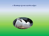 Презентация қазақ тілі жаңа сабақ