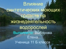 Презентация по биологии на тему Влияние СМС на жизнедеятельность водорослей