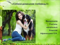 Презентация МОЙ ПИТОМЕЦ. О СОБАКАХ.