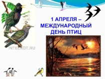 Презентация по биологии на тему День Птиц