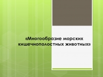 Презентация по зоологии на тему Многообразие морских кишечнополостных животных(7 класс)