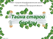 Электронные образовательные ресурсы Тайна старой березы?