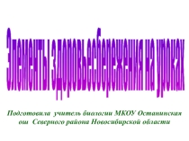 Презентация Элементы здоровьесбережения на уроках