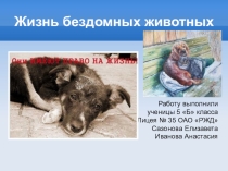 Презентация к классному часу Проблемма бездомных животных
