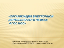 Организация внеурочной деятельности в рамках ФГОС НОО