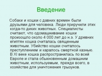 Презентация Кошки и собаки 1 класс