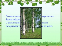 Детский проект Люблю берёзку русскую