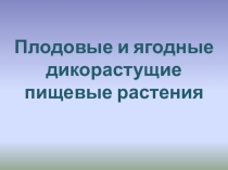 Презентация к уроку краеведения Плодовые и ягодные дикорастущие пищевые растения