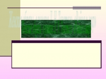 Презентация по роману Война и мир Женские образы