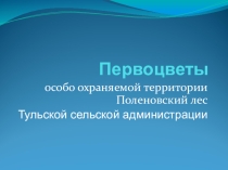 Презентация 6 класс Первоцветы