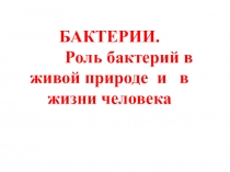 Презентация .Биологический диктант. Бактерии