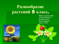 Презентация по биологии Разнообразие растений (5 класс)