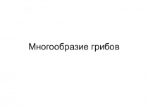 Презентация к уроку по биологии Многообразие грибов
