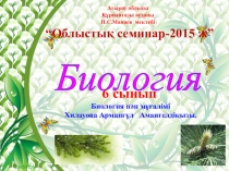 Презентация по биологий на тему Голосеменные (6 класс)