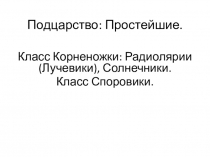 Презентация по биологии 7 кл Простейшие: Корненожки, Споровики
