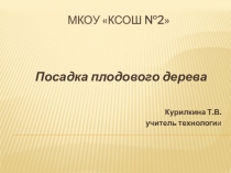 Презентация по сельскохозяйственному труду Посадка плодового дерева