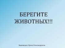 ПРЕЗЕНТАЦИЯ В СТАРШЕЙ ГРУППЕ НА ТЕМУ  БЕРЕГИТЕ ЖИВОТНЫХ