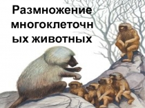 Презентация по биологии на тему Размножение многоклеточных организмов (6класс ФГОС)