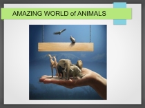 Amazing world of animals к УМК Spotlight -5, Unit 5 (технология CLIL)